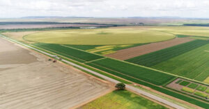 O que é advocacia ambinetal?