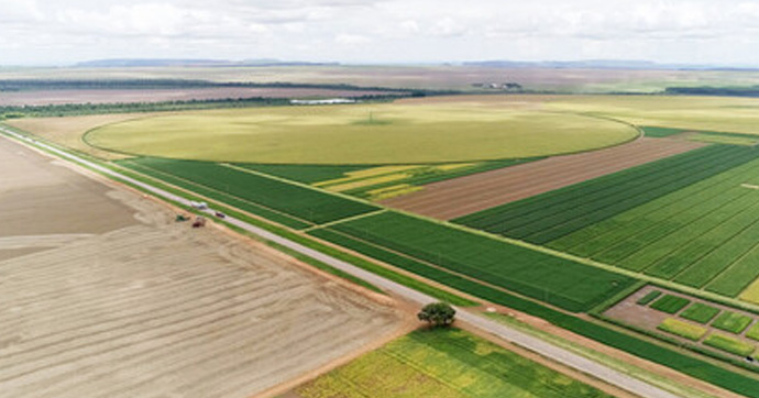 O que é advocacia ambinetal?